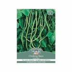 Mr Fothergill's Snake Bean