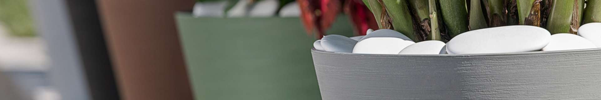 Close-up of plant in a Respect pot 