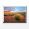 Grassland with Mountains  Print 100% Australian Made 120x90cm  (Poster)