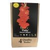 Yarra Valley Bulbs Gladioli Patty - 4 Pack