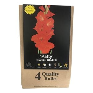 Yarra Valley Bulbs Gladioli Patty - 4 Pack