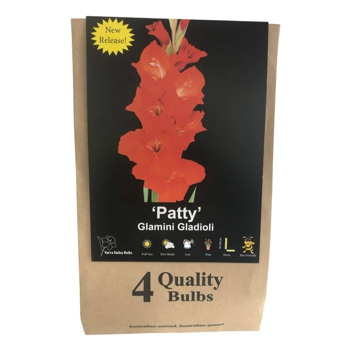 Yarra Valley Bulbs Gladioli Patty - 4 Pack