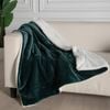 Gioia Casa Microfiber Teddy Sherpa Throw Blanket Reversible Fluffy Flannel Velvet Throw for Couch or Sofa - Emerald Green