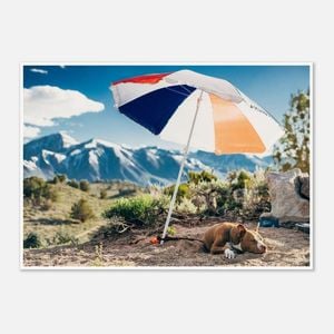 Galrie Mammoth Lakes Hot Dog Art Photography Print, Poster Only, A2 42 x 60cm (16 x 24inch)