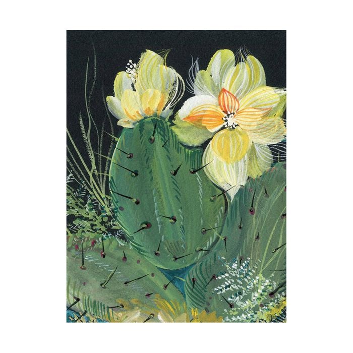 Artey | Cactus II - Stretched Canvas - Stretched Canvas - 90 x 120cm