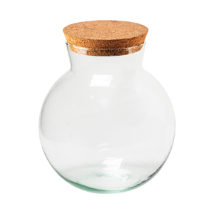 17 x 17cm Terrarium Vase With Lid