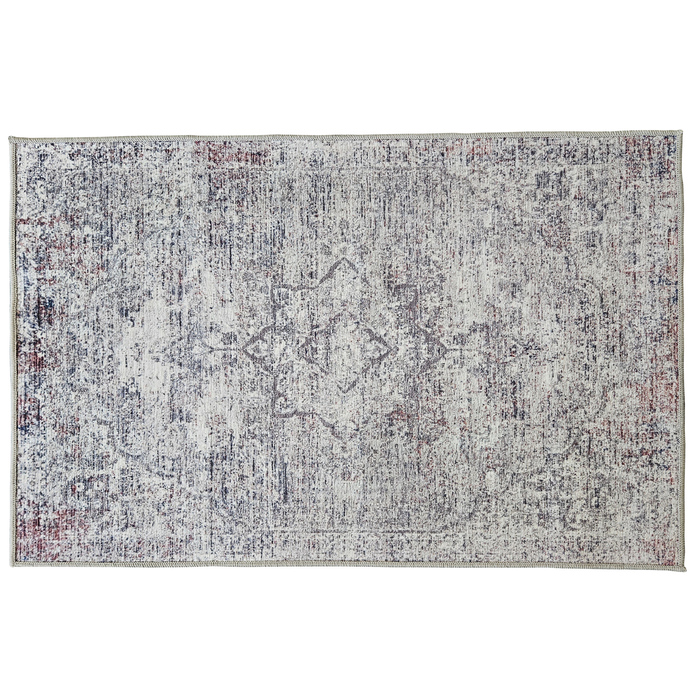 Non-Slip Washable Doormat 60x90cm Aster