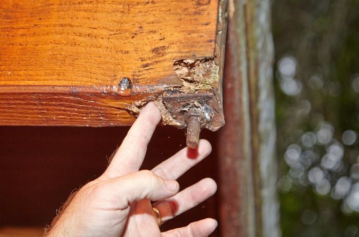 Close up shot of a varnished wooden panel damaged by dry rot