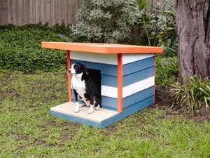 DIY Step Image - How to make a dog kennel. Blob storage upload.