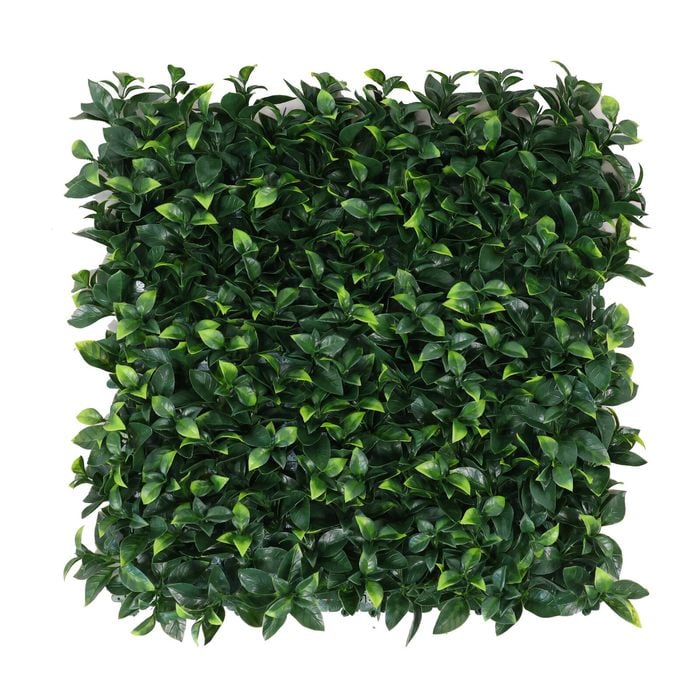 UN-REAL 50 x 50cm Pittosporum Artificial Hedge