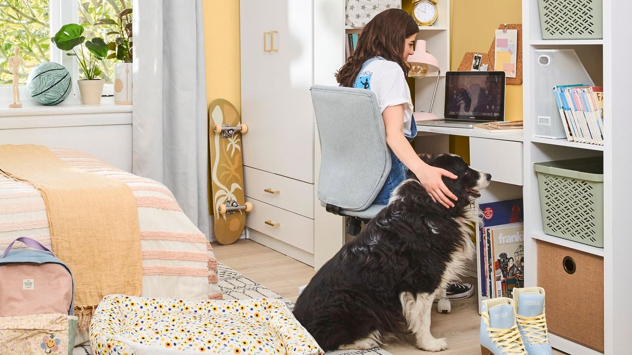 A girl sits at a desk while patting her dog