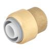 SmarteX-PEX 20mm Cap