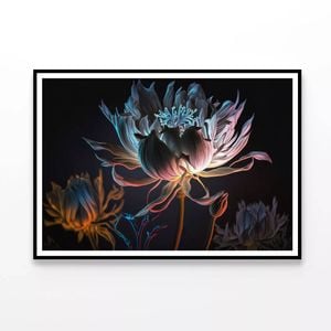Close-Up of a Flower at Night  Print 100% Australian Made 120x90cm  (Poster)