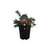 1.9L Grevillea Red Clusters - Grevillea