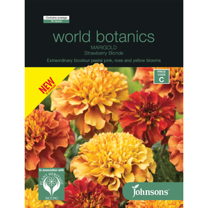 Johnsons World Botanics Marigold Strawberry Blonde