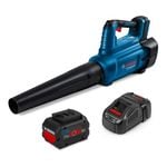 Bosch 18v Professional 1 x 8.0AH BITURBO Blower Kit 061599263K