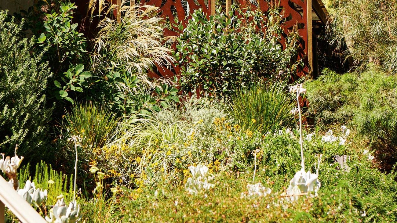 Metal, ornamental decoration in the middle of bushes and trees