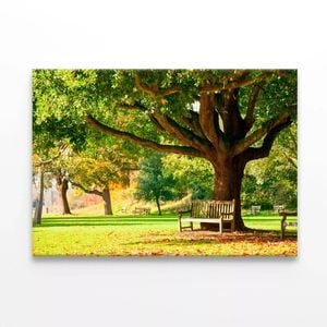 Kew Gardens Park  Print 100% Australian Made 150 x 100cm  (Stretched)
