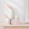 2 Pack Candle - Magnolia & Grapefruit/cedarwood & Dark Chocolate 26x8x7cm Botanical House