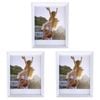 3PK Frankie & Me Window Wooden 8x10'' Picture Frame Home Photo Decor White