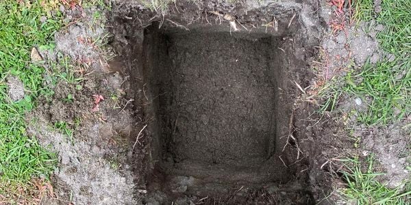 hole dug in a backyard