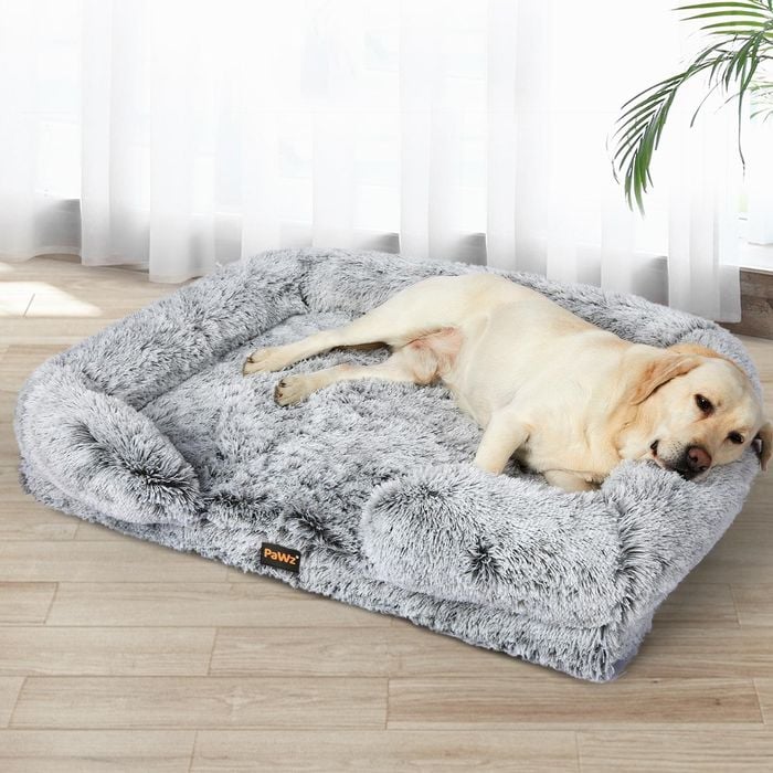 Puppy beds best sale