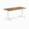 Desky Fixed Height Saman Hardwood Desk 150x75cm White Leg