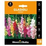Bloomin' Bulbs Gladioli Mixed Bulbs - 18 Pack