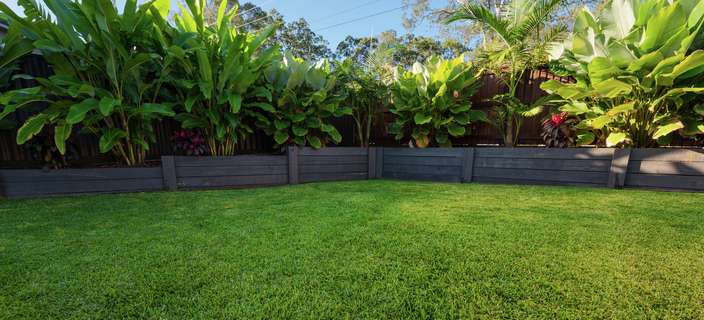 Spring into action: Your ultimate guide to lush lawn care