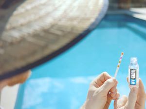 Person holding a swimming pool water testing strip and test solution bottle beside a blue swimming pool.