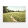 Walking Path through Meadow  Print 100% Australian Made 75 x 50cm  (Stretched)