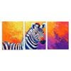 3pcs Colorful Abstract Zebra Design Perfect Print 100% Australian Made 3 x 40x60cm (Metal Print)