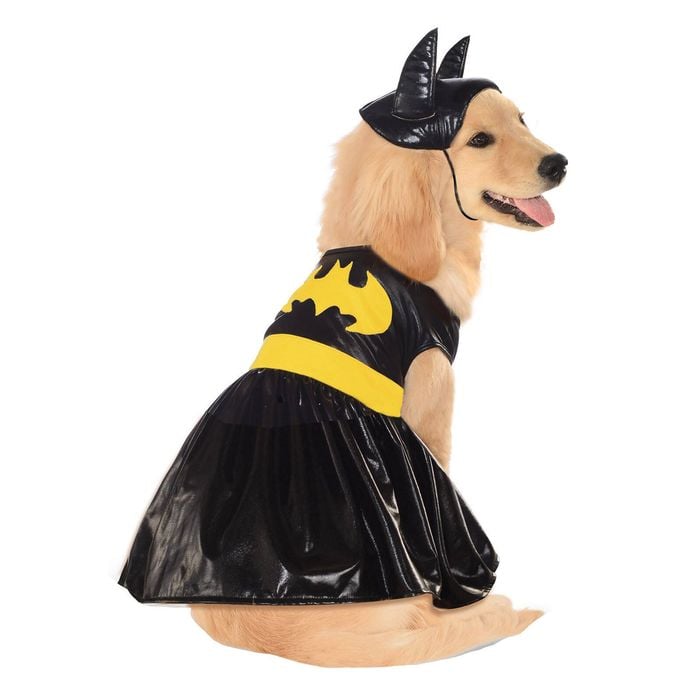 Dc Comics Batgirl Pet Dress Up Costume - Size M For Dogs