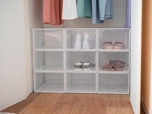 Storage boxes for shoes in closet 