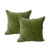 2pc Cloud Linen Trova Cotton Velvet/poly 50cm Cushion Set Square Pillow Sage