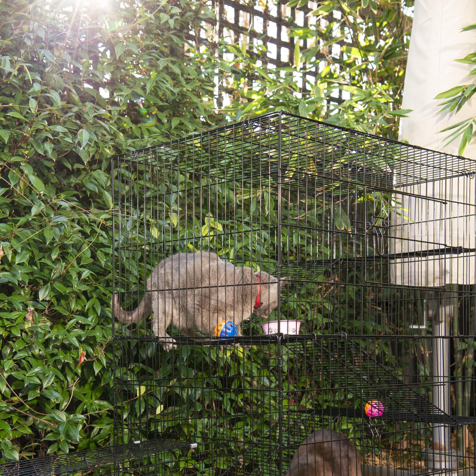 Diy cat enclosure bunnings best sale