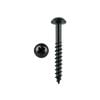 Pinnacle 4.0 x 30mm Black Round Head Timber Screw - 20 Pack