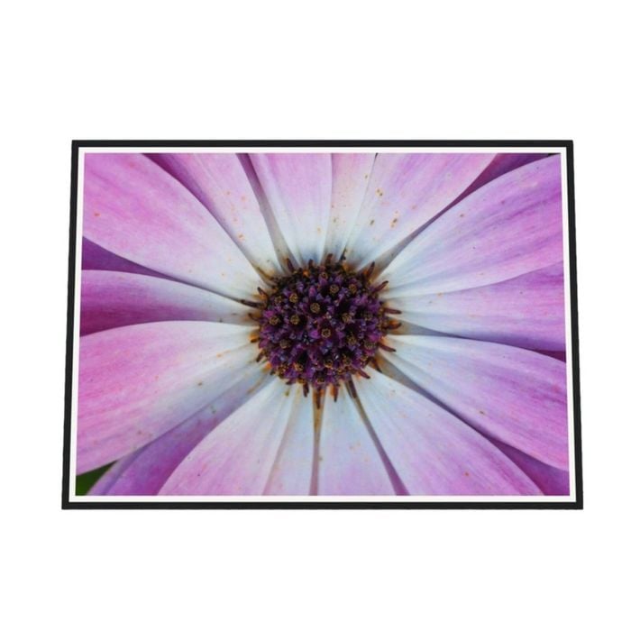 Galrie Vibrant Violet Pollen Fine Art Prints for Home Decor, Black Frame, 50 x 70cm (20 x 28inch)