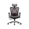 Sihoo M57 Ergonomic Office Chair