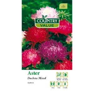 Country Value Seed Aster Duchess Mixed