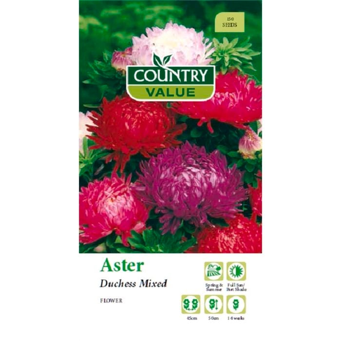 Country Value Seed Aster Duchess Mixed