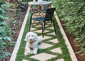 A dog sitting on a completed stepping stone pathway with a small dining setting.