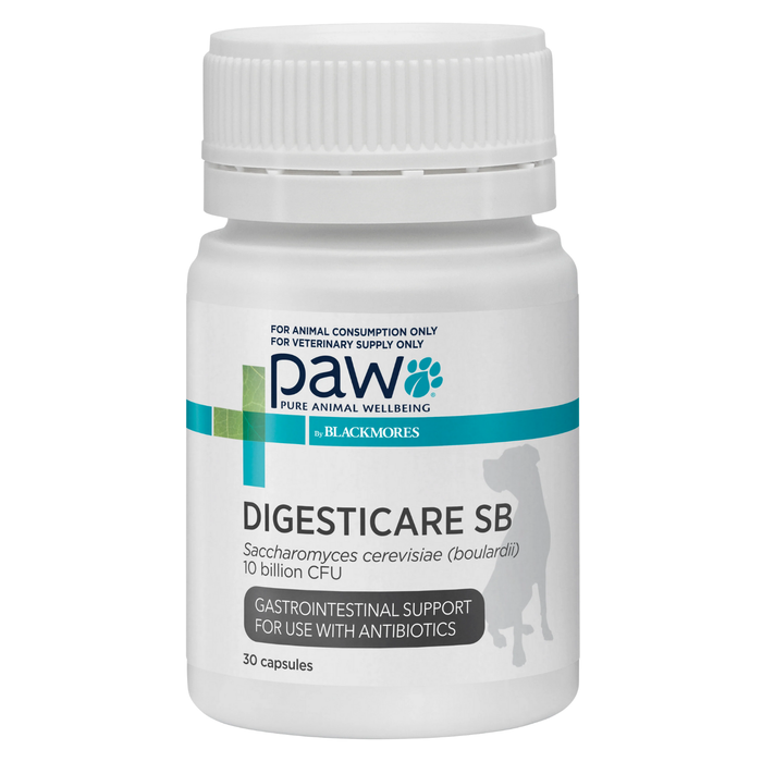 PAW Digesticare SB Capsules For Dogs - 500mg 30's