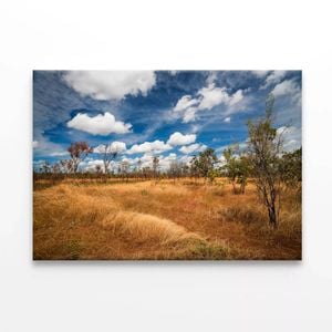 Kakadu National Park Australia  Print 100% Australian Made 150 x 100cm  (Stretched)