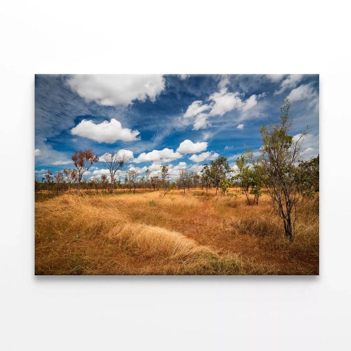 Kakadu National Park Australia  Print 100% Australian Made 150 x 100cm  (Stretched)