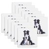 12PK Ashdene Puppy Love Border Collie Ceramic Coaster Square 10x10cm