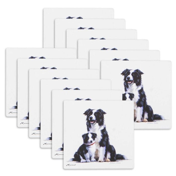 12PK Ashdene Puppy Love Border Collie Ceramic Coaster Square 10x10cm