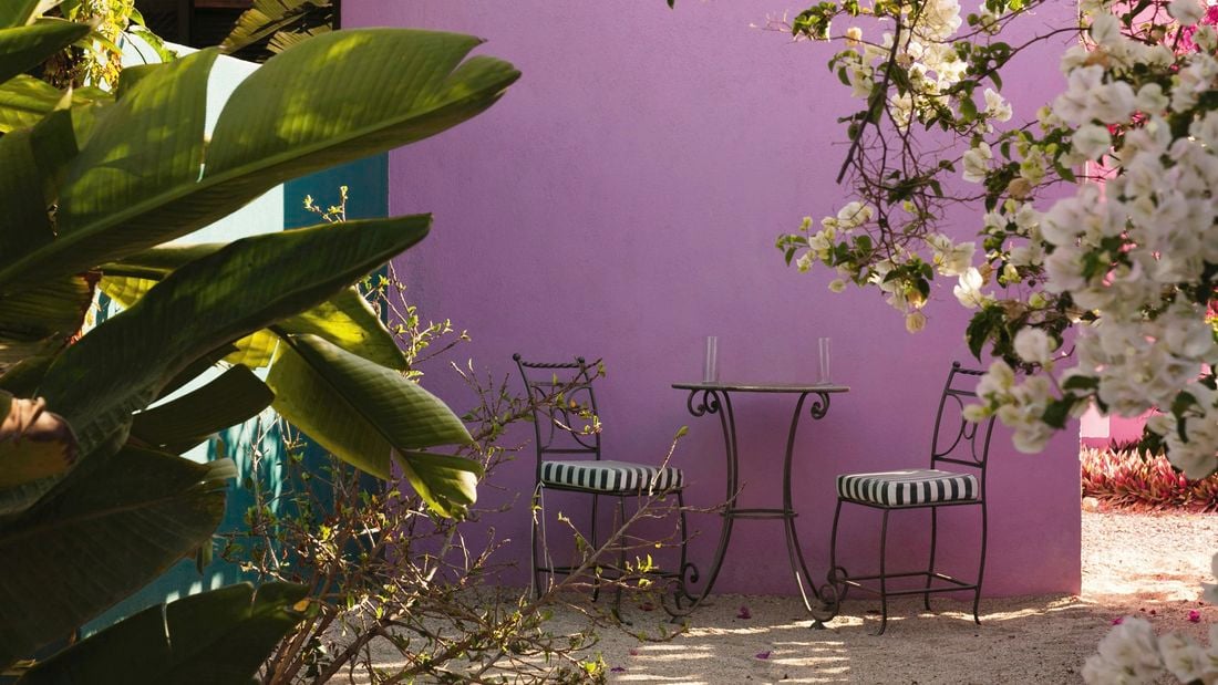 Shot of an outdoor setting with the wall of a house painted purple