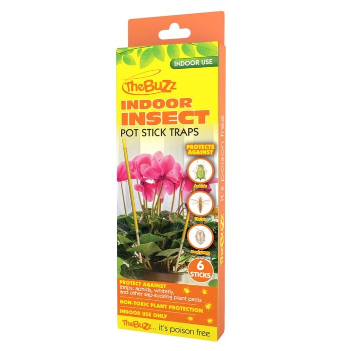 The Buzz Insect Indoor Pot Traps - 6 Pack