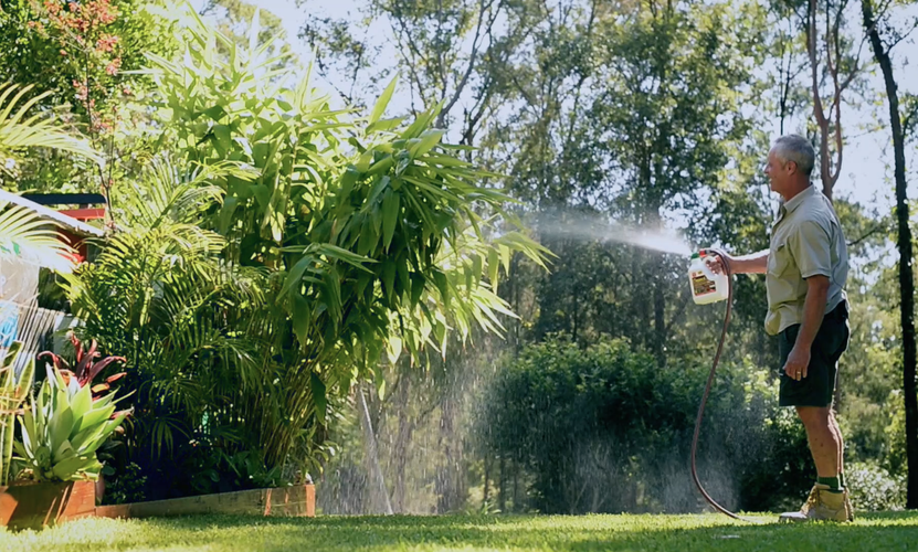 Man spraying garden with plant food bottle attached to garden hose